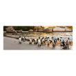 Adesivi camera da letto - Adesivo murali Progettare Pinguino in un lago - ambiance-sticker.com