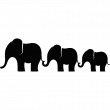 Adesivi murali Animali - Adesive tre elefanti in una riga - ambiance-sticker.com