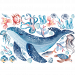 Adesivi murali Animali - Adesivo animali marini dell'acquerello e balena - ambiance-sticker.com
