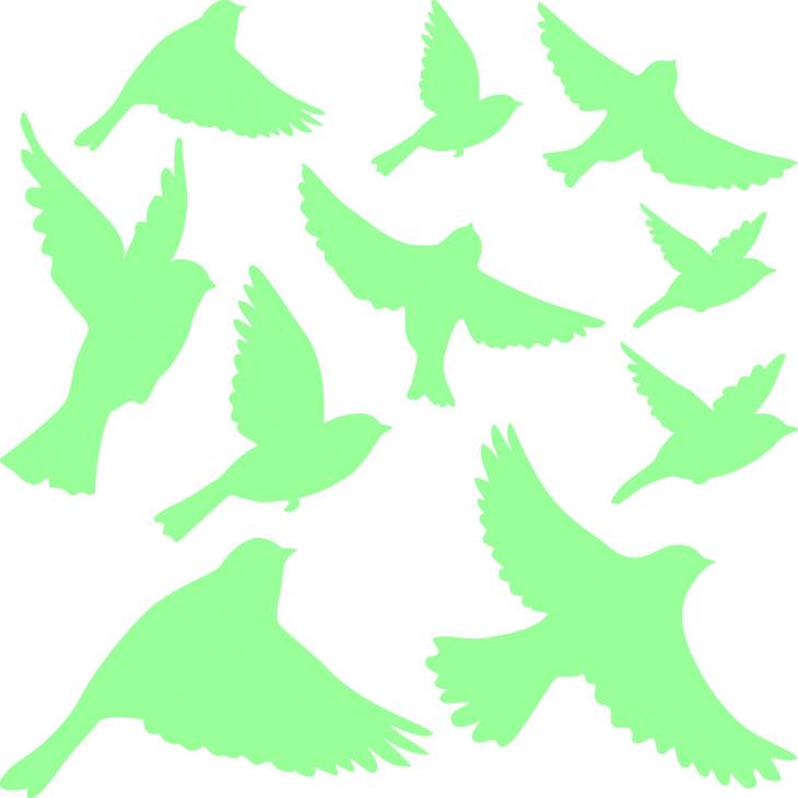Adesivi fosforescente - Adesivo murali uccelli - ambiance-sticker.com