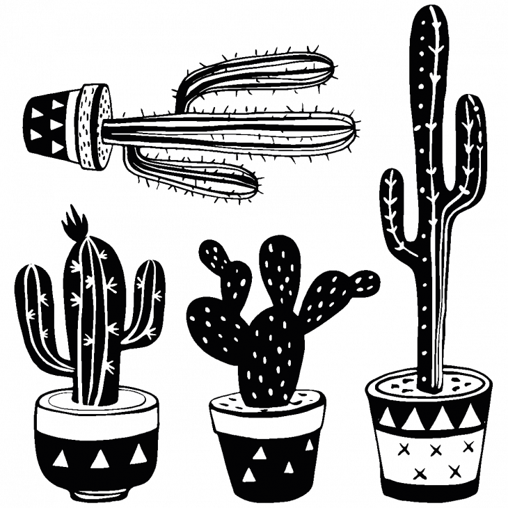 Adesivi boemo design - Adesivo boemo 4 cactus messicani - ambiance-sticker.com