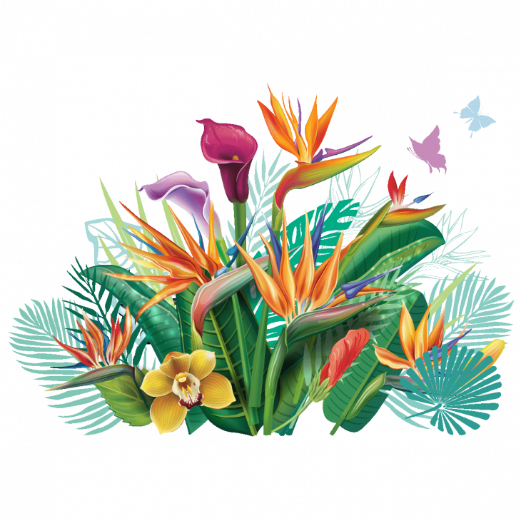 Adesivi murali fiori - Adesivo il fan dei fiori tropicali - ambiance-sticker.com
