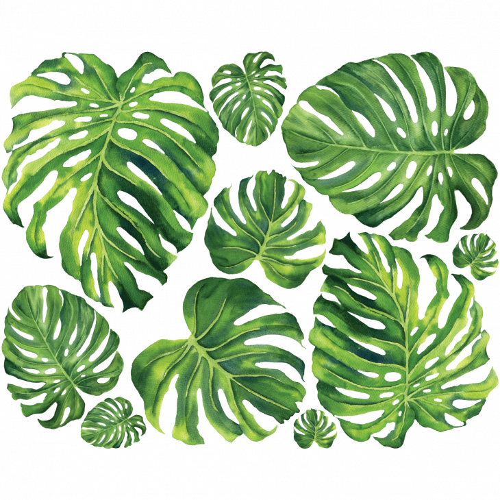 Adesivi murali natura - Adesivo natura foglie tropicali verdi - ambiance-sticker.com