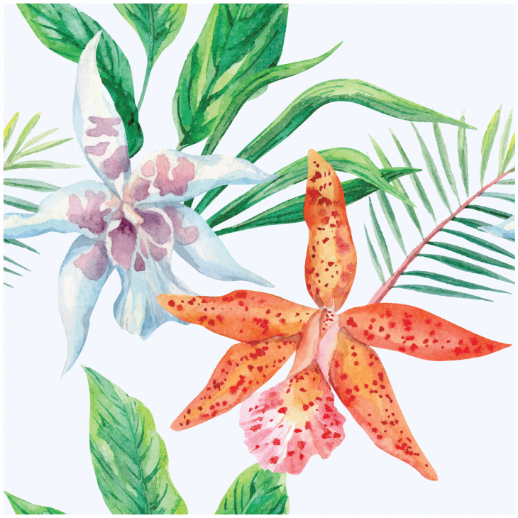 adesivi carta da parati tropicale - Adesivo carta da parati tropicale le orchidee - ambiance-sticker.com