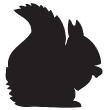 Muursticker leisteen eekhoorn - ambiance-sticker.com
