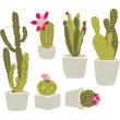 Muurstickers natuur - Muursticker tropisch Cactus - ambiance-sticker.com