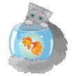 Kat en goudvis - ambiance-sticker.com