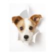 Muurstickers voor koelkast  - Muursticker decoratieve Hond in gat - ambiance-sticker.com