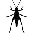 Muurstickers dieren - Muursticker Grasshopper Ontwerp - ambiance-sticker.com