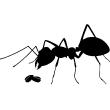 Muurstickers dieren - Muursticker Ant en noten - ambiance-sticker.com