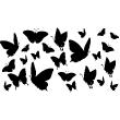 Muurstickers dieren - Muursticker vlinders van de lucht - ambiance-sticker.com
