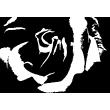 Muurstickers design - Muursticker abstracte rose - ambiance-sticker.com