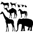 Muurstickers dieren - Muursticker Dierlijke silhouetten - ambiance-sticker.com