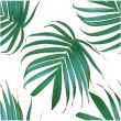 muurstickers tropisch tapijt- Muursticker tropisch tapijt palmbladeren - ambiance-sticker.com