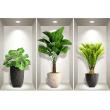 Muurstickers 3D - Mursticker 3D effect tropische planten - ambiance-sticker.com