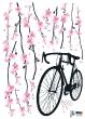 Sticker bloemen en fiets - ambiance-sticker.com