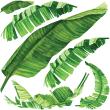 Muurstickers natuur - Muursticker natuur tropische bladeren - ambiance-sticker.com