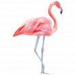 Muurstickers dieren - Muursticker flamingo - ambiance-sticker.com