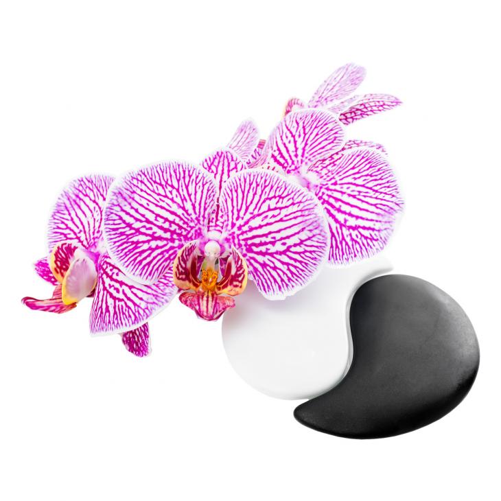 Muurstickers ZEN - Muursticker Orchidee en kiezels - ambiance-sticker.com