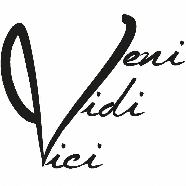 Muurstickers teksten - Citaat muursticker Veni vidi vici - ambiance-sticker.com