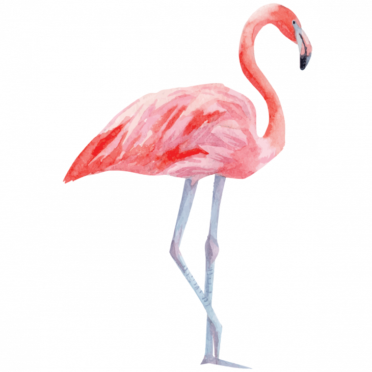 Muurstickers dieren - Muursticker flamingo - ambiance-sticker.com