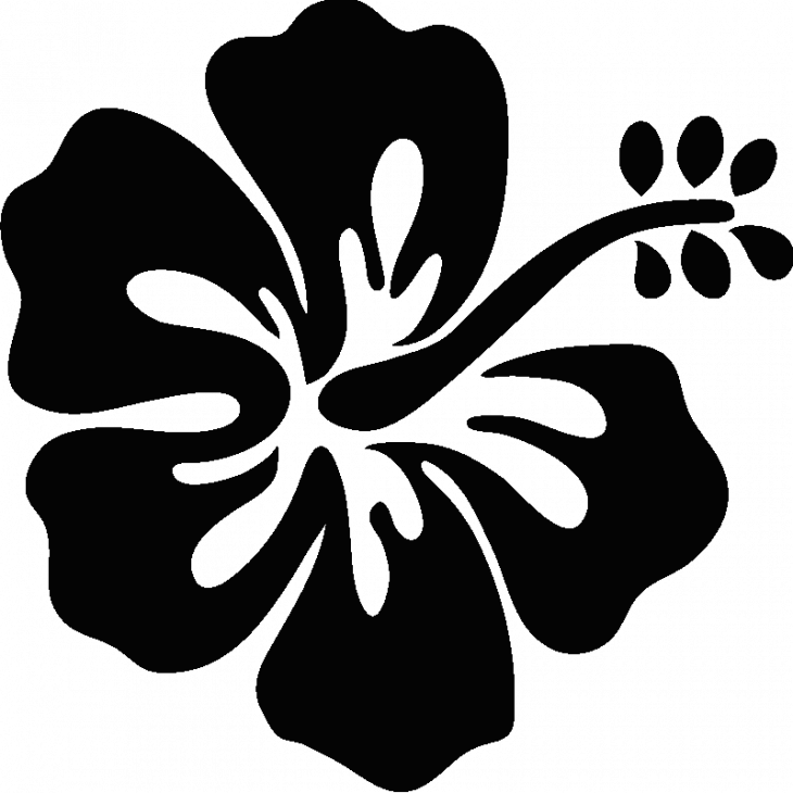 Hibiscus - ambiance-sticker.com
