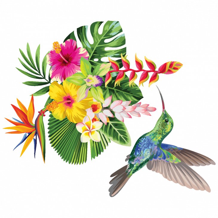 Muurstickers bloemen - Muursticker bloem tropisch en kolibrie - ambiance-sticker.com